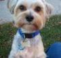 Larry K.'s Photo