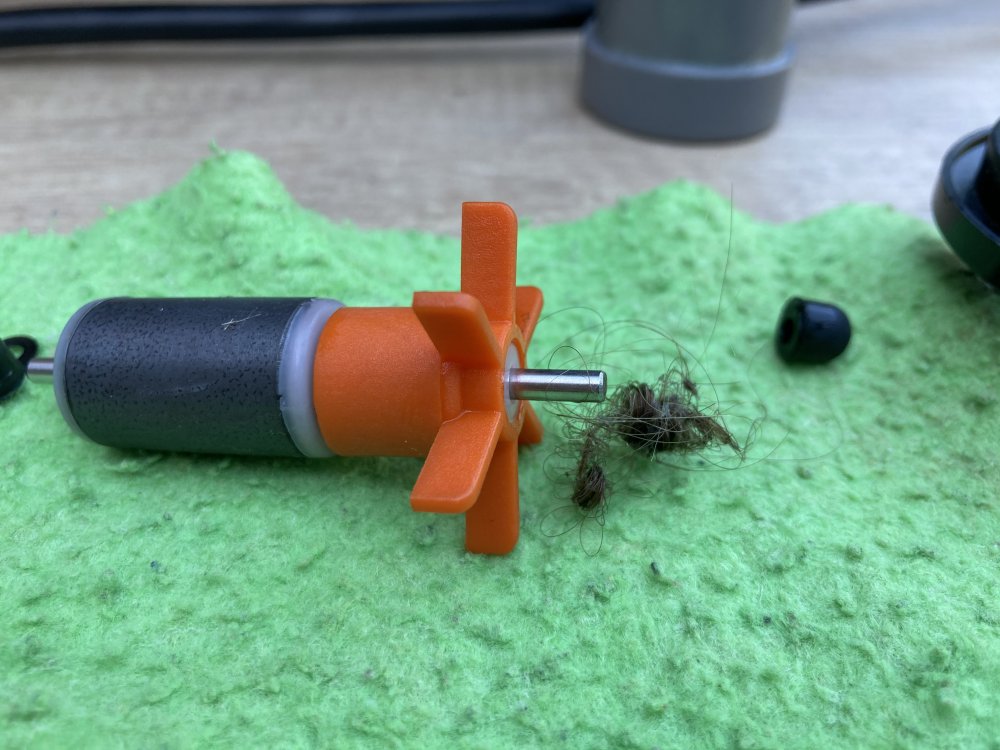 Mspa lite E1 error Portable Hot Tubs & Spas Pool and Spa Forum