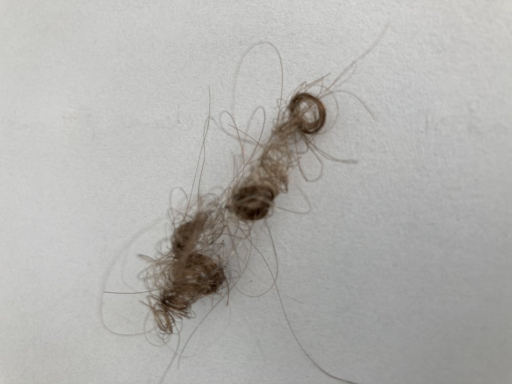 Mspa lite E1 error Portable Hot Tubs & Spas Pool and Spa Forum