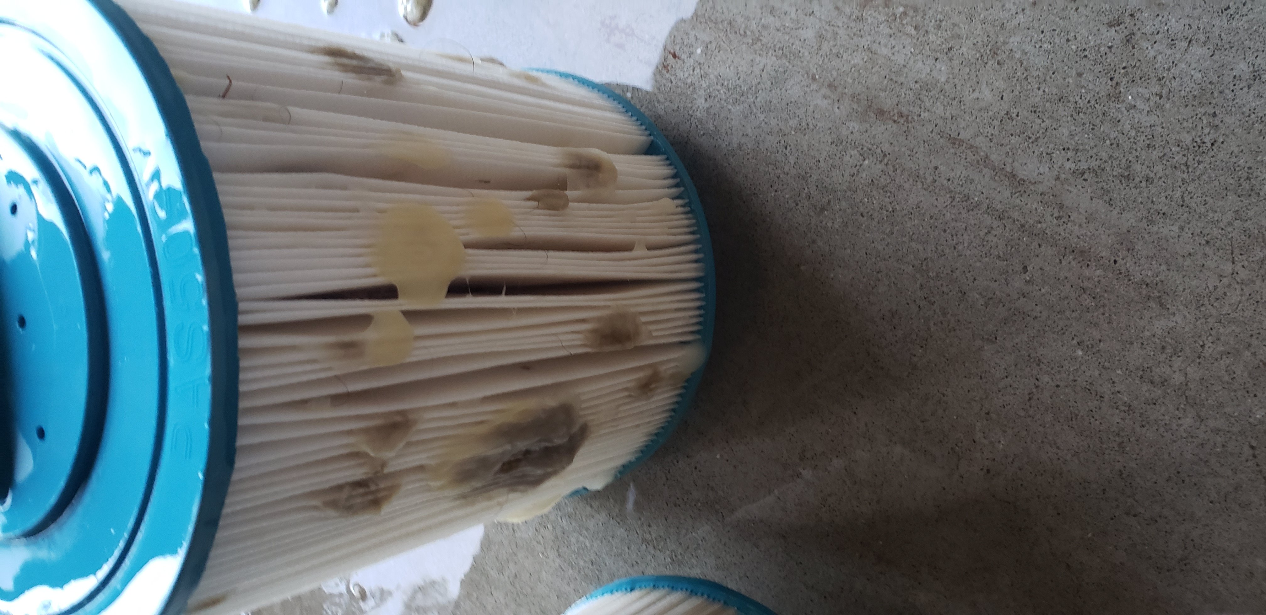 Slimy filters Portable Hot Tubs & Spas Pool and Spa Forum