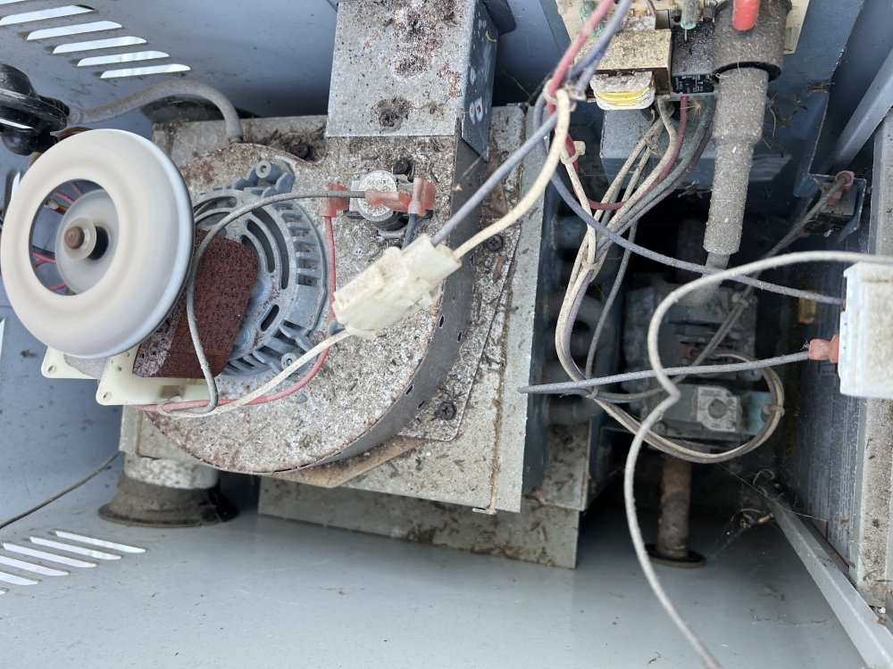 Hayward H100ID All Swimming Pools Types Pool and Spa Forum