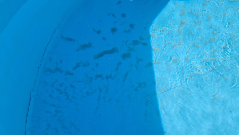 Pool base.jpg