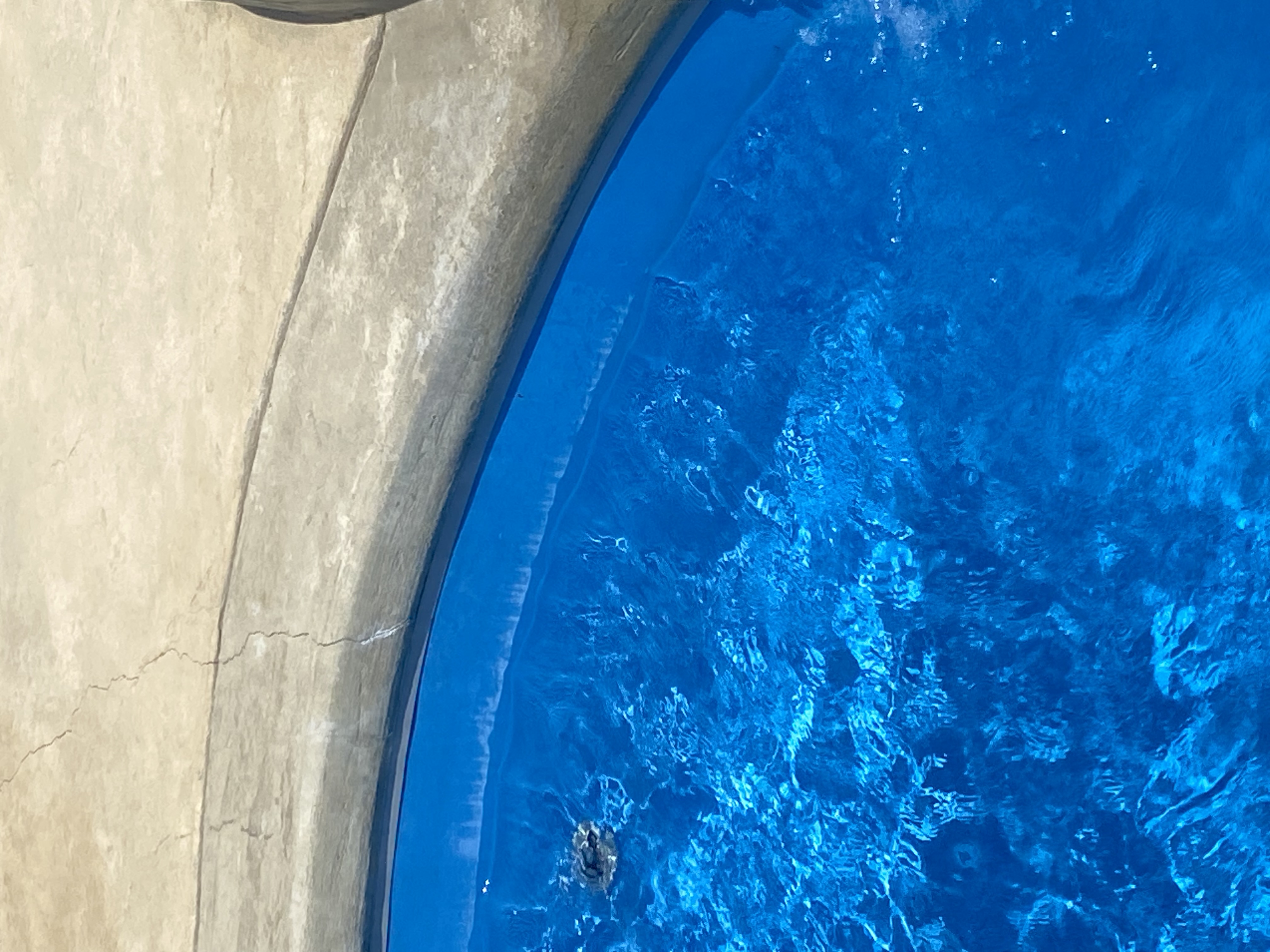 Fiberglass pools issues Swimming Pool Water Chemistry Pool and Spa