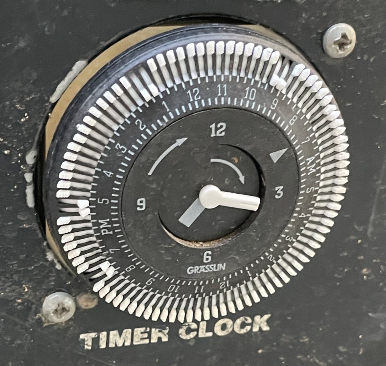 Timer.jpg